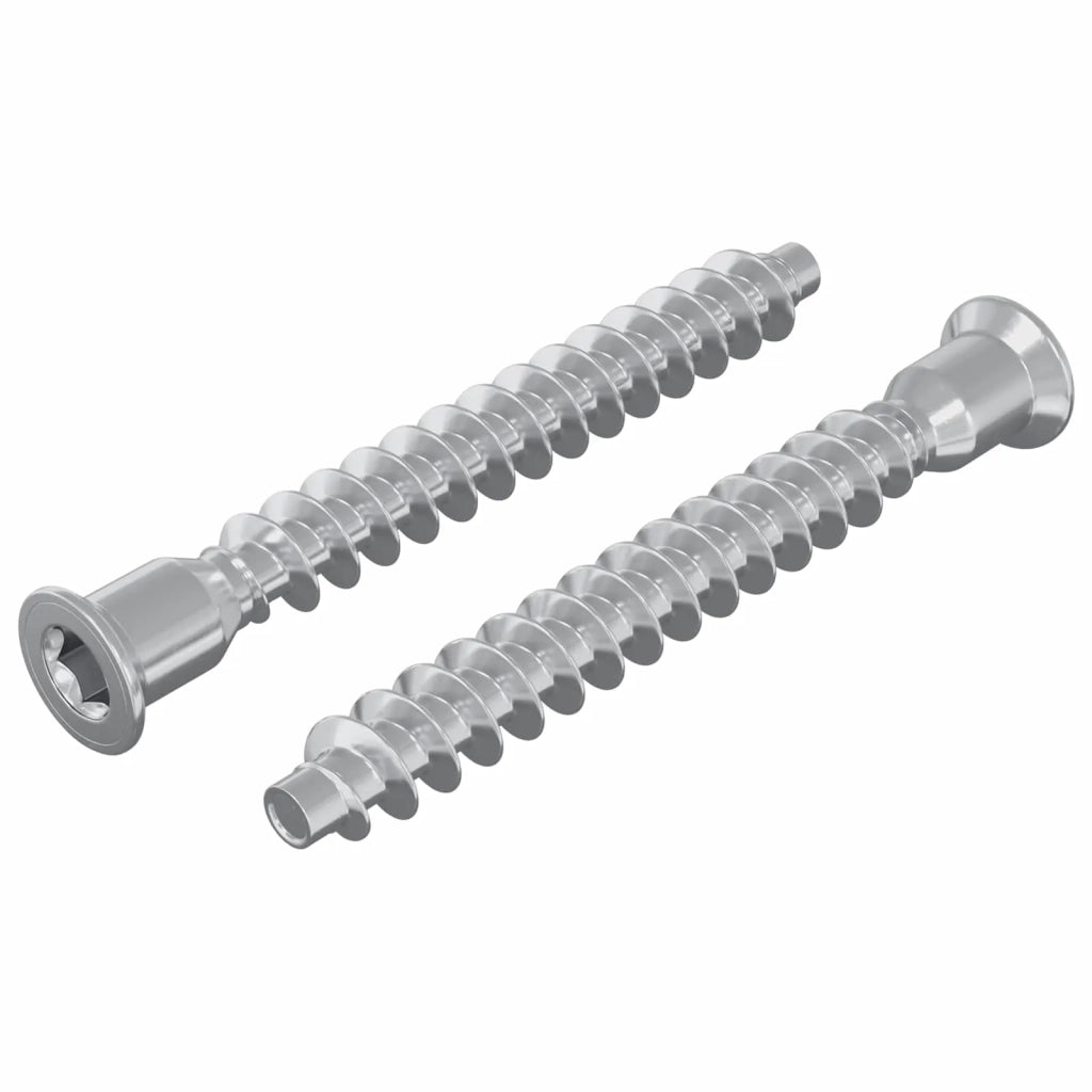 Viti confermat 2 pz Argento ?7 x 58 mm Metallo CFW8138754