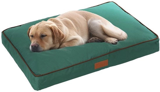 Letto per Cani Indoor, Matras Molle e Lavabile, Copertina Impermeabile in Oxford, Piuma in Poliestere, Adatta per 122 cm di Lunghezza, Dimensioni XXL: 117 x 75 x 10 cm, Verde con Foglie Marroni