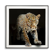 Stampa su Tela Leopardo, Multicolore, Tessuto, 82x82x4 cm
