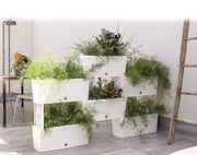 FIORIERA BRIK KIT 5 VASI IRRIGAZIONE VASI COMUNICANTI 59X23X27 (X5PZ) COLORE PANNA
