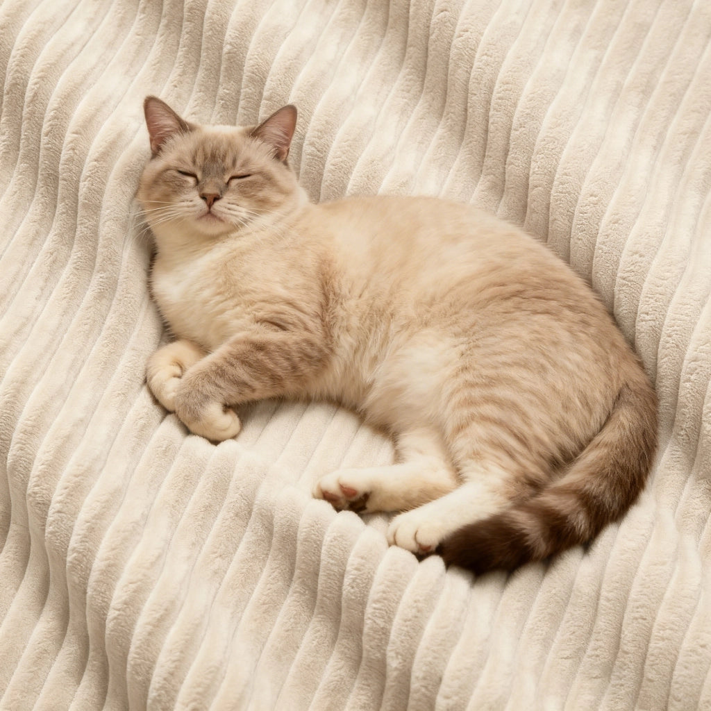 Divano modulare a L Cloud 3 posti in velluto beige con pouf, senza montaggio
