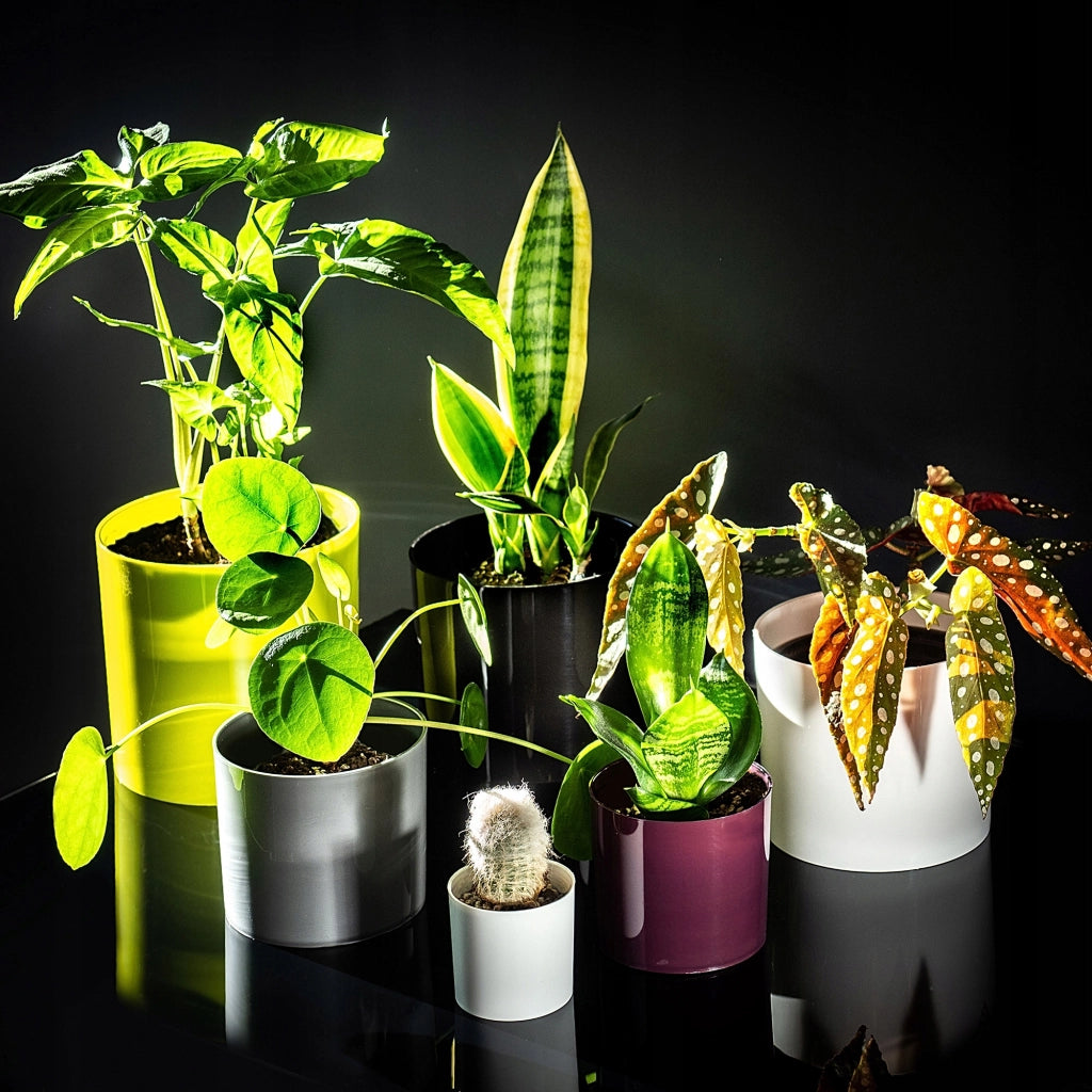 Vaso da fiori rotondo in plastica KADAX, 12,5 cm, colore argento.