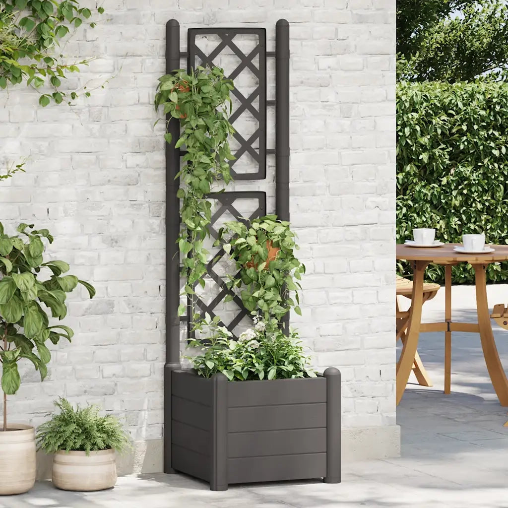 Fioriera da Giardino con Graticcio 43x43x142 cm PP Antracite