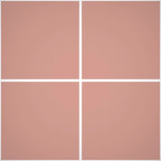 Pittura Murale Acril Silossanico Antialga Esterno - Rivestimenti Esterni B698 - Litri 4