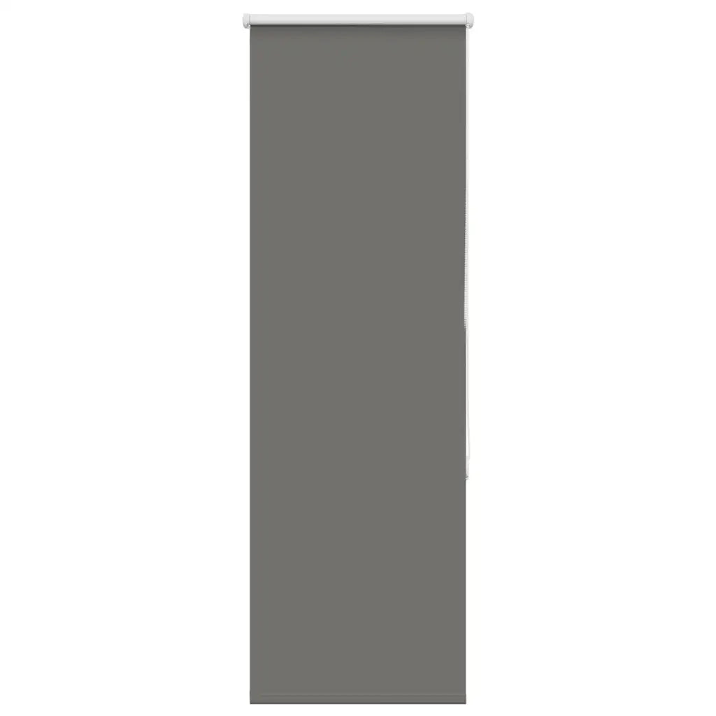 Tenda a Rullo Oscurante-Tenda da sole a rullo 60x130 cm Larghezza Tessuto 55,7 cm 558204