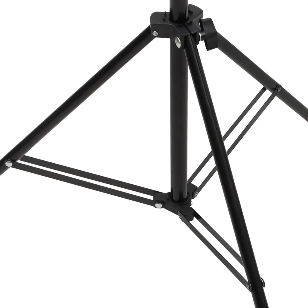 Supporto per Sfondo a T Nero 151x60x(70-200) cm CFW9258056