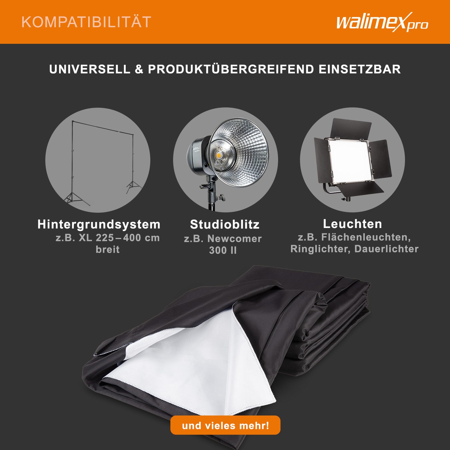 2in1 Sfondo in tessuto 2,85x6m, B/N
