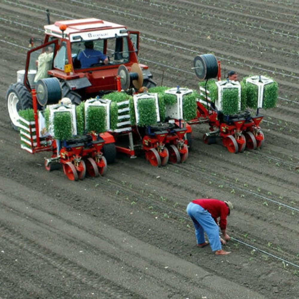 Manichetta Gocciolante Pluvio Distanza Gocciolatori 20 Cm, Rotoli da 100 m