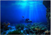 Decorazione per parete acquario XXL - mondo sottomarino con rif di corallo - dimensioni 122 x 50 cm, visibile 61 x 41 cm.