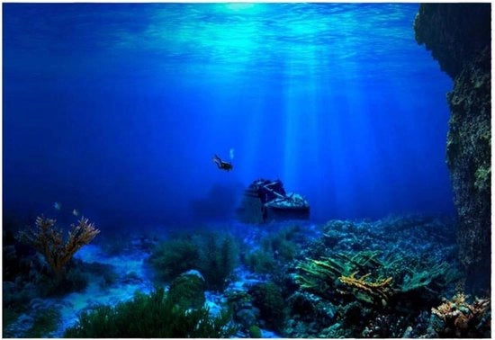 Decorazione per parete acquario XXL - mondo sottomarino con rif di corallo - dimensioni 122 x 50 cm, visibile 61 x 41 cm.