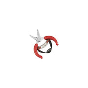 FORBICI PER AGRUMI '10,5' AUSONIA 10,5 cm - AUSONIA