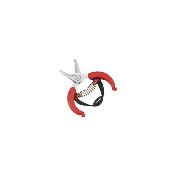 FORBICI PER AGRUMI '10,5' AUSONIA 10,5 cm - AUSONIA