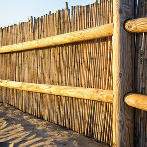 ARELLA CANNICCIO BAMBOO STUOIA CANNETTE RILEGATE Ø14-18mm CANNA PULITA 3x1,5m STARS VIRIDEX 4208037