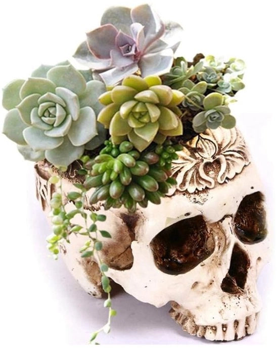 Piatto per piante Halloween - 15x22cm - Ideale per fiori e piante grasse - Piatto per fiori