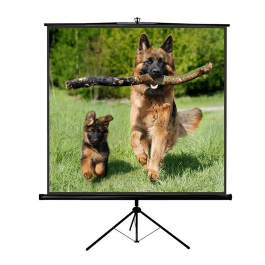 Tp  new  junior  240x240 - 1224NJ