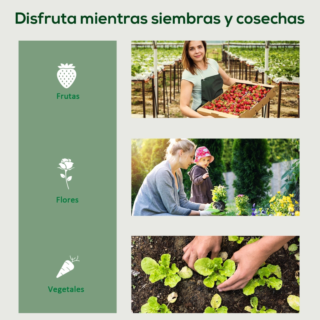 Serra da Giardino con Ruote e 4 Ripiani ¨C Xylo ¨C Porta con Zip e Telaio in Acciaio 69x50x165cm