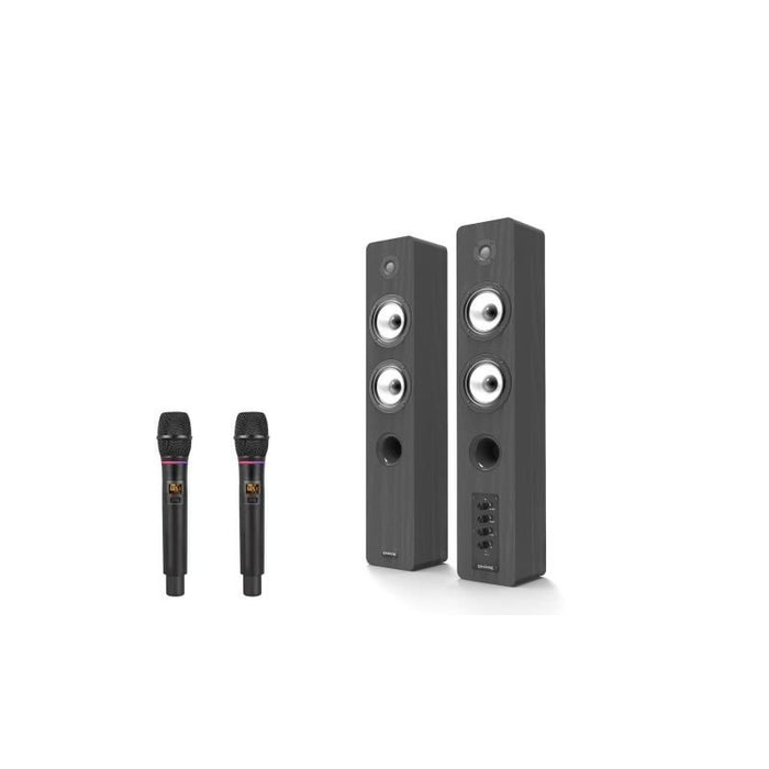 Kit audio pro con 2 radio mic. inclusi - AV.PROEDGE2M