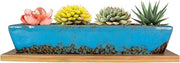 Piantine per Succulente in Ceramica 25cm con Scatola per Bonsai Cactus Fiori Moderni a Forma Lunga e Rettilinea con Scatola per Vetrina con Fusto di Drenaggio per Decorazione Interna/Esterna di Casa (Blu)