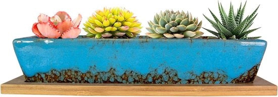 Piantine per Succulente in Ceramica 25cm con Scatola per Bonsai Cactus Fiori Moderni a Forma Lunga e Rettilinea con Scatola per Vetrina con Fusto di Drenaggio per Decorazione Interna/Esterna di Casa (Blu)