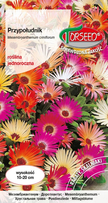 Pomerania - Miscela di Mesembryanthemum criniflorum 1g