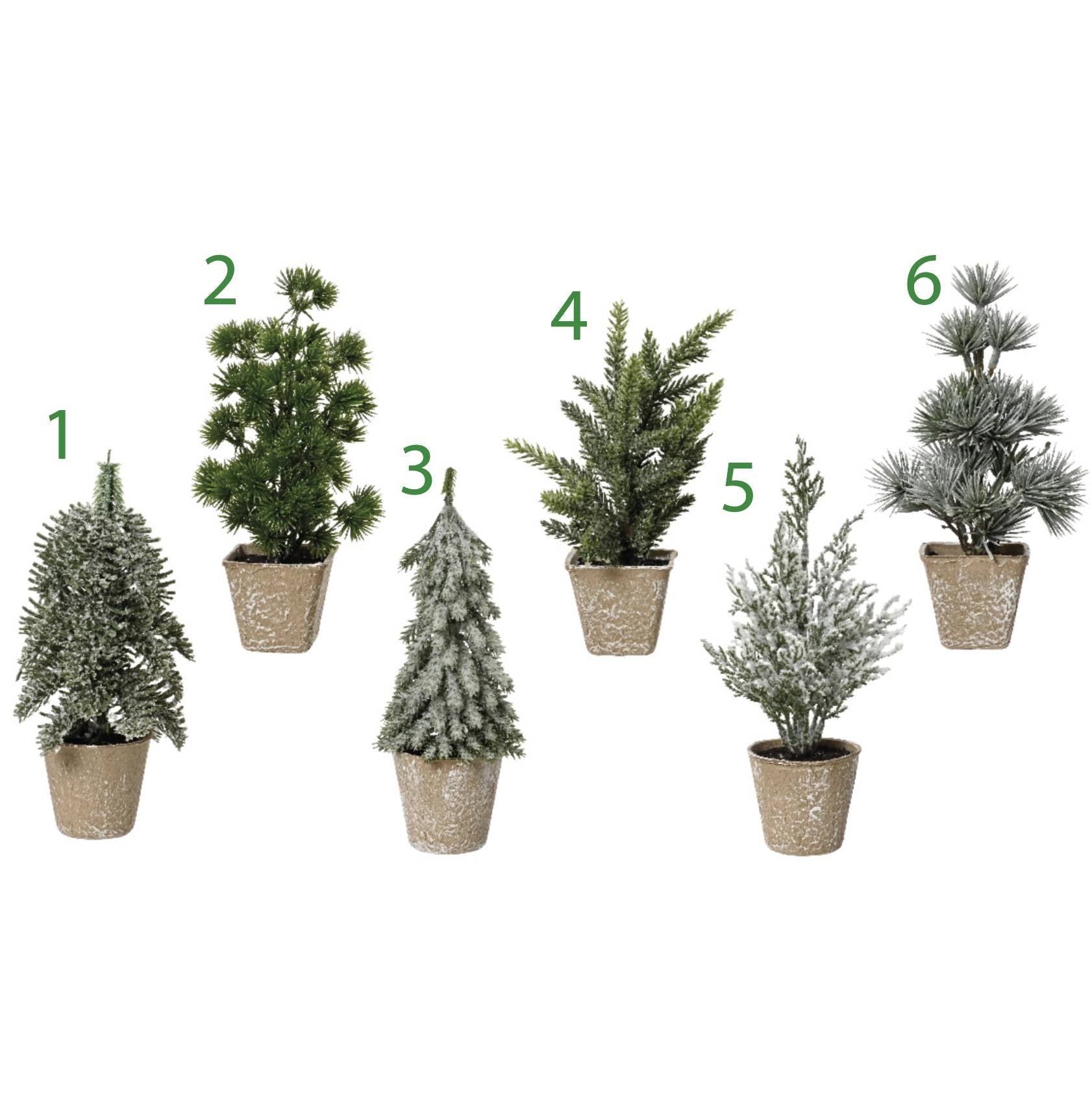 MINI ALBERO 4ASS DA INTERNO