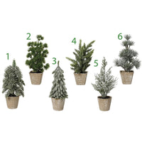 MINI ALBERO 4ASS DA INTERNO