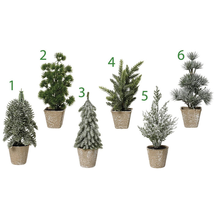 MINI ALBERO 4ASS DA INTERNO