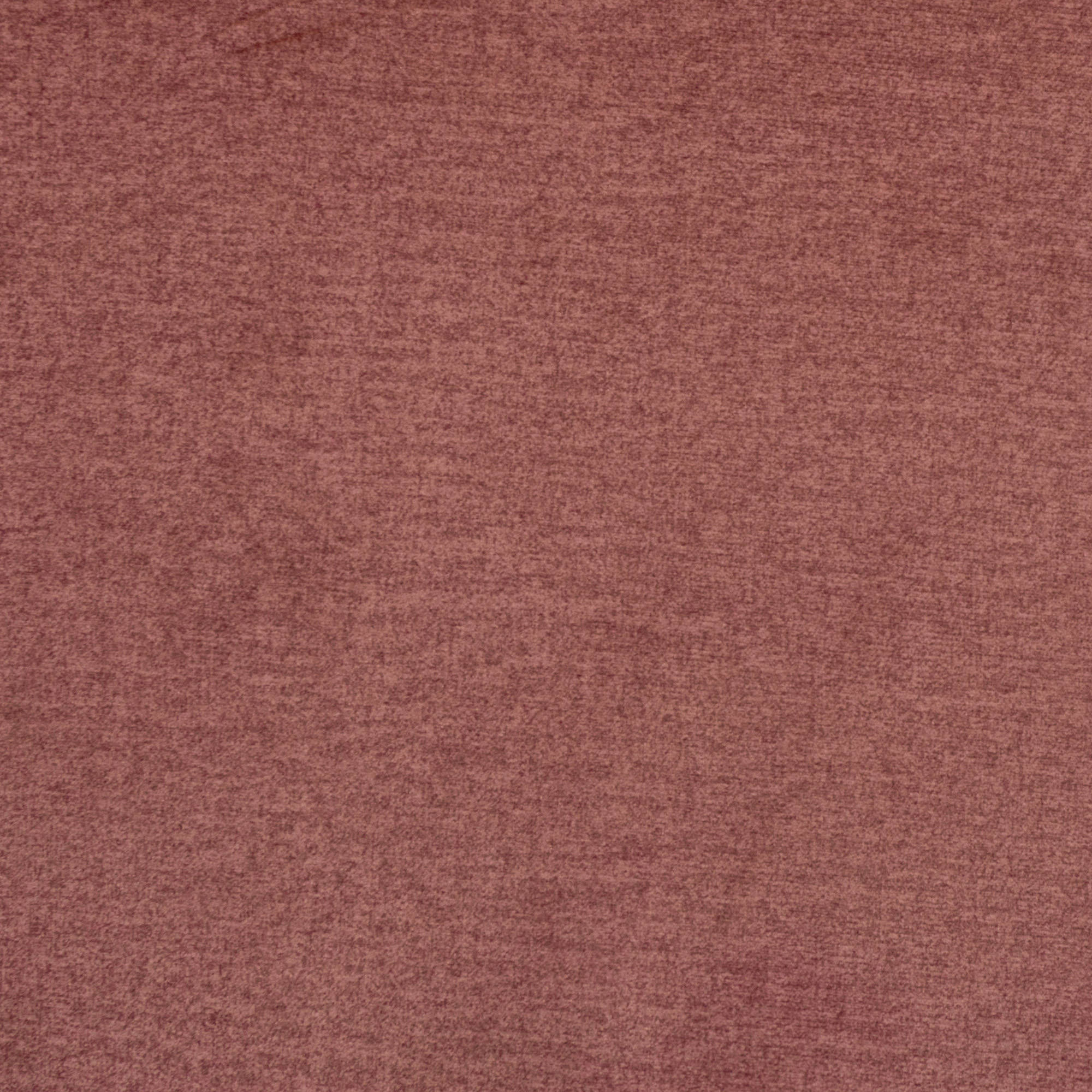 Talamo Italia Letto contenitore singolo Puccini, Made in Italy, Struttura in tessuto imbottito effetto velluto, Adatto a materasso 80x190 cm, Bordeaux