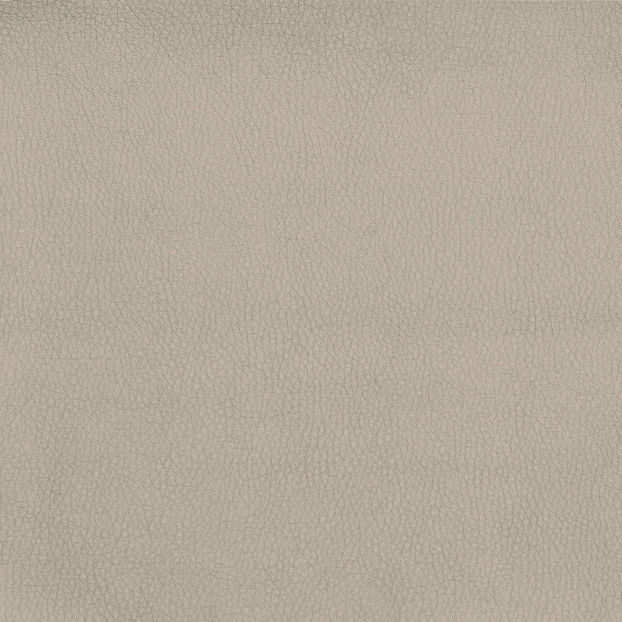 Talamo Italia Letto contenitore singolo Mozart, Made in Italy, Struttura in ecopelle imbottita, Adatto a materasso 80x190 cm, Panna