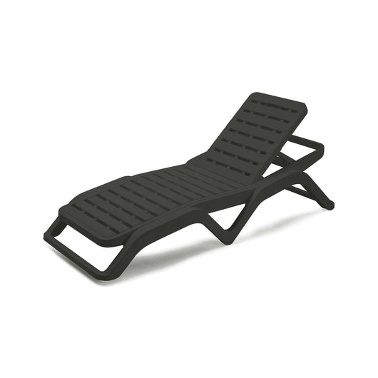 Lettino prendisole Anis, Sdraio da giardino regolabile, Lettino da esterno, 100 % Made in Italy, Cm 192x72h100, Antracite