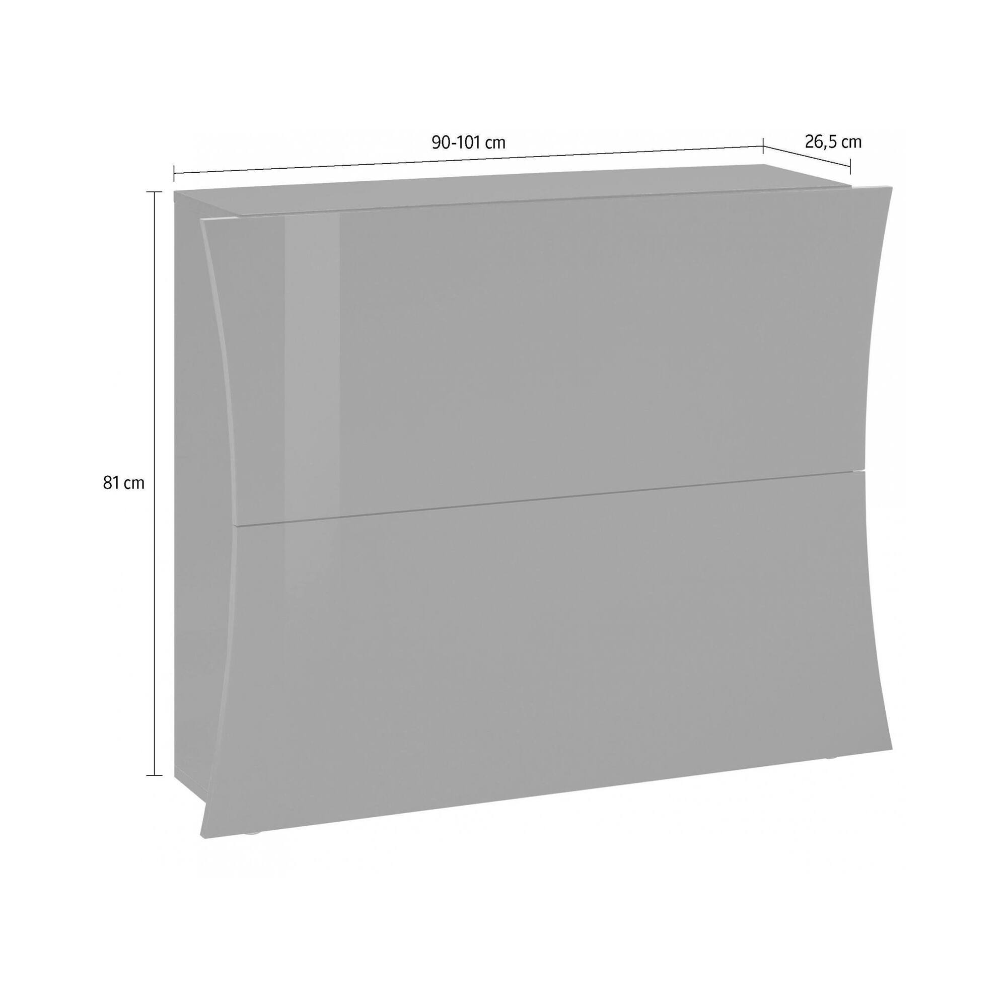 Scarpiera Kronos, Made in Italy, a 2 ante, Portascarpe da ingresso, cm 101x27h82, colore Bianco lucido