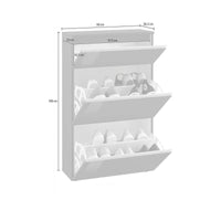 Scarpiera Alejandra, Made in Italy, a 2 ante e 1 anta a ribalta, Mobile Portascarpe da ingresso, cm 60x27h108, Antracite lucido