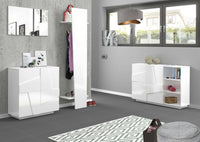Scarpiera Apetta, Made in Italy, a 2 ante, Portascarpe da ingresso, Mobile multiuso, cm 81x38h86, Bianco lucido con dettaglio