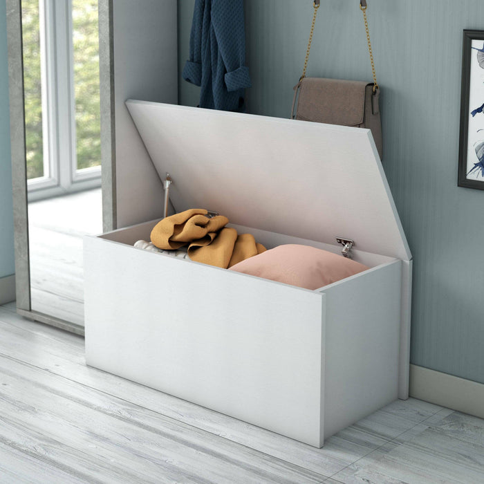 Baule Ayusnay, Capiente box contenitore multiuso, Cassapanca moderna, Made in Italy, Cm 90x45h45, Bianco