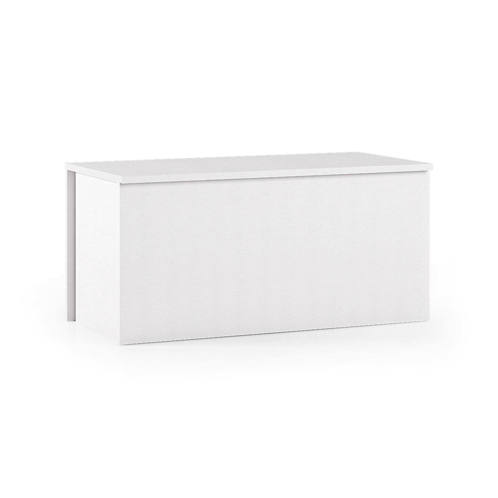 Baule Ayusnay, Capiente box contenitore multiuso, Cassapanca moderna, Made in Italy, Cm 90x45h45, Bianco