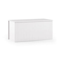 Baule Ayusnay, Capiente box contenitore multiuso, Cassapanca moderna, Made in Italy, Cm 90x45h45, Bianco