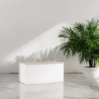 Baule Ayusnay, Capiente box contenitore multiuso, Cassapanca moderna, Made in Italy, Cm 90x45h45, Bianco e Rovere