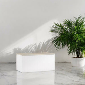 Baule Ayusnay, Capiente box contenitore multiuso, Cassapanca moderna, Made in Italy, Cm 90x45h45, Bianco e Rovere