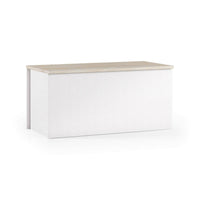 Baule Ayusnay, Capiente box contenitore multiuso, Cassapanca moderna, Made in Italy, Cm 90x45h45, Bianco e Rovere