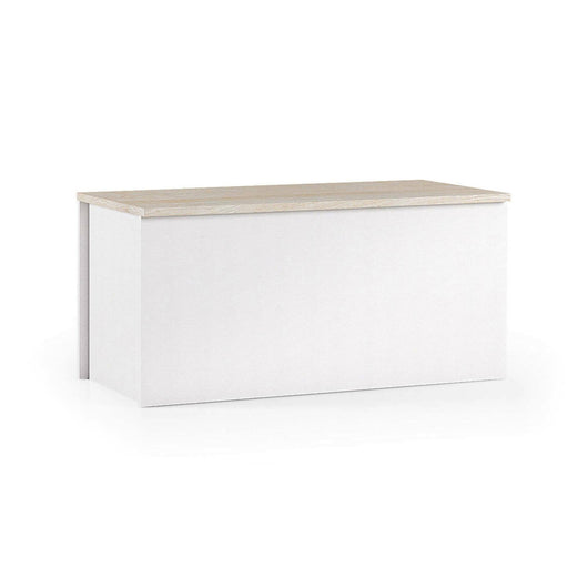 Baule Ayusnay, Capiente box contenitore multiuso, Cassapanca moderna, Made in Italy, Cm 90x45h45, Bianco e Rovere
