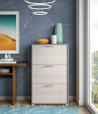 Scarpiera Amelisa, Mobile multiuso da ingresso con 3 ante a ribalta, Armadietto portascarpe moderno, Made in Italy, Cm 67x18h112, Larice