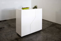 Credenza moderna a 2 ante Arbal, Made in Italy, Madia da ingresso, Buffet di design da soggiorno, Cm 100x43h106, Bianco lucido