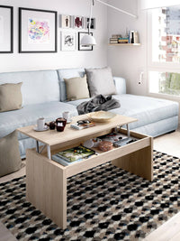 Tavolino da salotto Audi, Porta riviste da soggiorno con vano portaoggetti, Tavolo basso da caffÒ¨ elevabile, 102x50h43 cm, Rovere