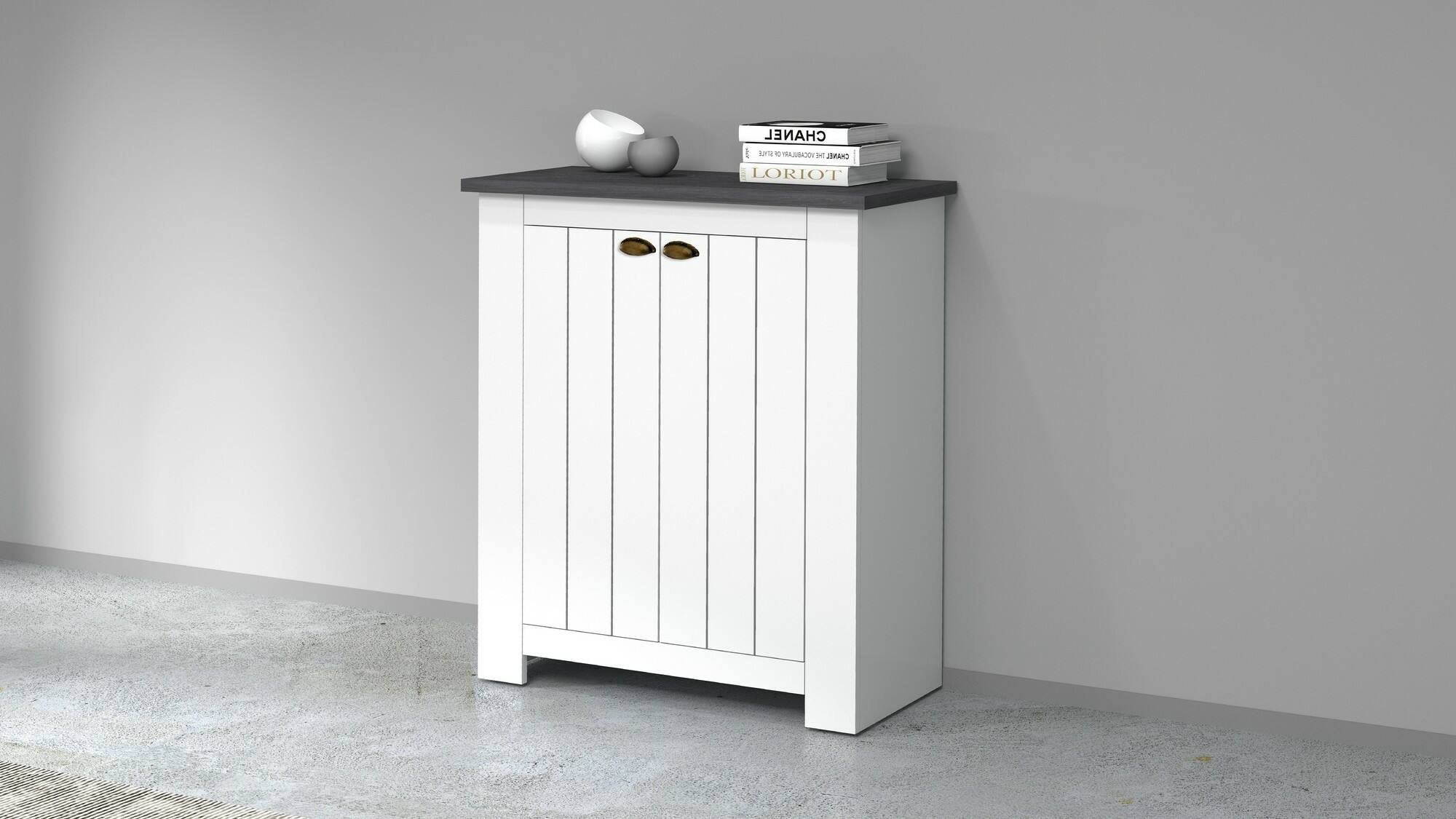 Scarpiera Adriatica, Porta scarpe salvaspazio a 2 ante, Armadio multifunzione da ingresso, 84x42h100 cm, Bianco e Ardesia