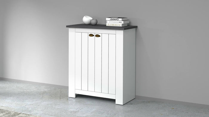 Scarpiera Adriatica, Porta scarpe salvaspazio a 2 ante, Armadio multifunzione da ingresso, 84x42h100 cm, Bianco e Ardesia