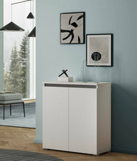 Scarpiera Astrina, Mobile multiuso, Porta scarpe salvaspazio a 2 ante, Armadio portaoggetti con scaffali, 100% Made in Italy, 80x37h102 cm, Bianco