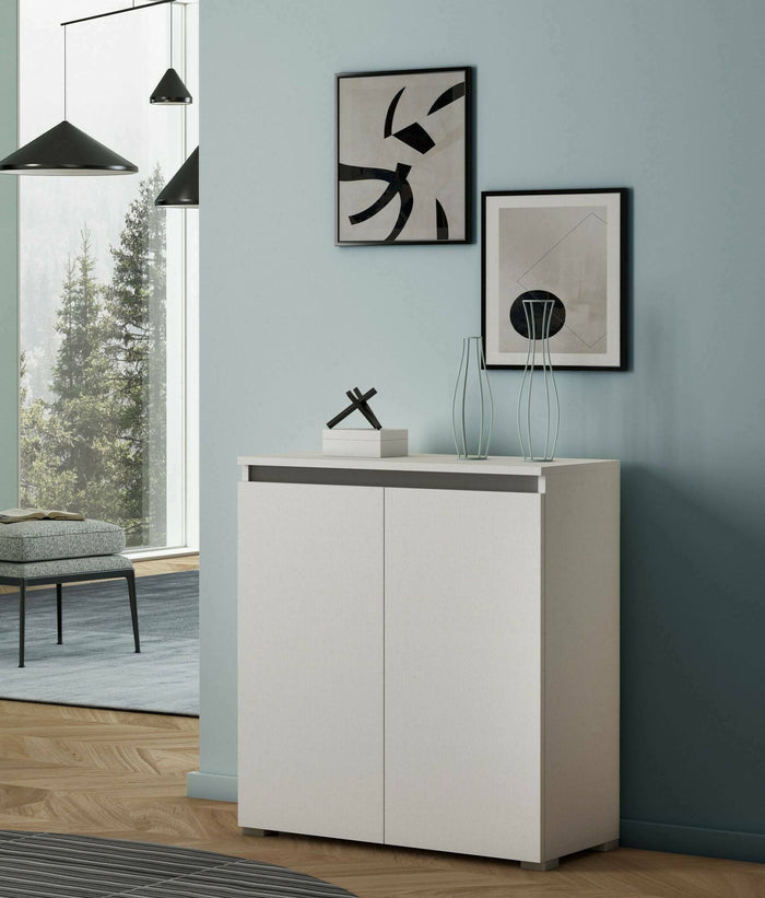 Scarpiera Astrina, Mobile multiuso, Porta scarpe salvaspazio a 2 ante, Armadio portaoggetti con scaffali, 100% Made in Italy, 80x37h102 cm, Bianco