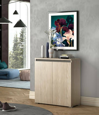 Scarpiera Astrina, Mobile multiuso, Porta scarpe salvaspazio a 2 ante, Armadio portaoggetti con scaffali, 100% Made in Italy, 80x37h102 cm, Olmo