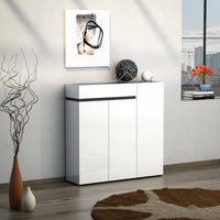 Scarpiera Joji, Mobile portascarpe, Armadio da ingresso multiuso, Mobiletto per calzature, Made in Italy, 120x34h115 cm, Bianco lucido e Antracite