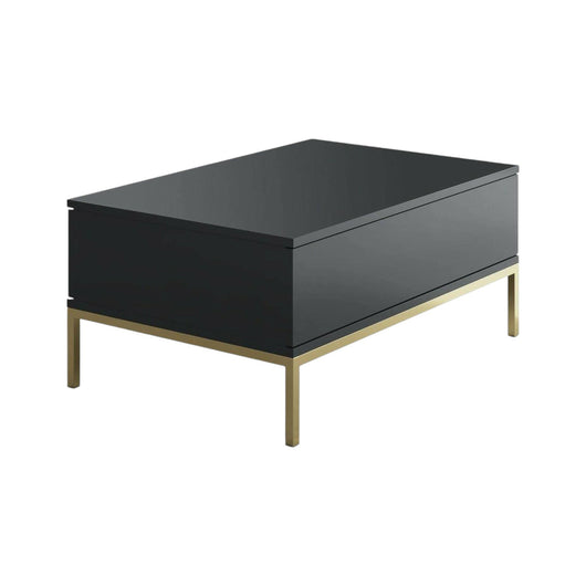 Tavolino da salotto Vespero, Tavolo basso da caffè, Portariviste per divano, Ripiano da soggiorno, 90x60h40 cm, Antracite e Oro